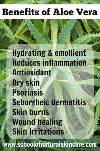 Benefits of using aloe vera in your natural skincare products Natural Skincare Ingredients