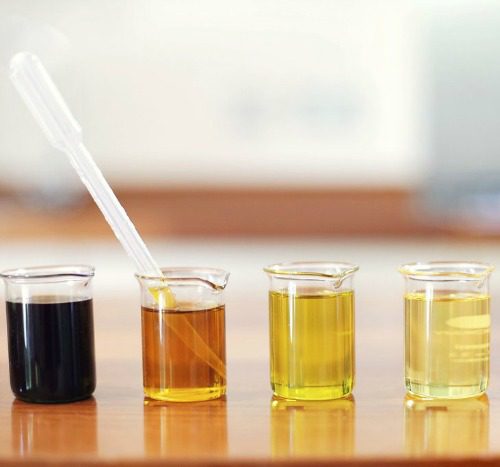 Certificate in Making Natural Skincare Products 