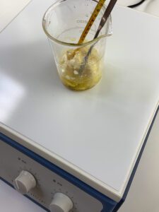 How to make sugar scrub bars + body scrub bar recipe Zero Waste Formulation