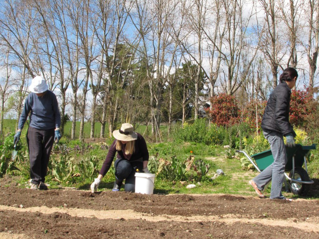 Gail’s leap of faith: How the School of Natural Skincare began Behind the scenes