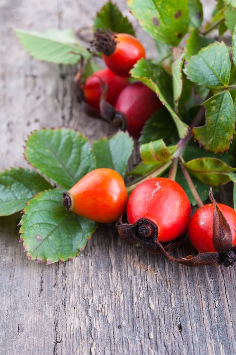 Choosing the Right Carrier Oils for your Product Natural Skincare Ingredients Skincare Formulation