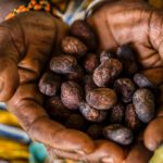 How to Achieve Healthy, Glowing Skin: Skincare Tips for Oily and Acne-Prone Skin Skincare Formulation