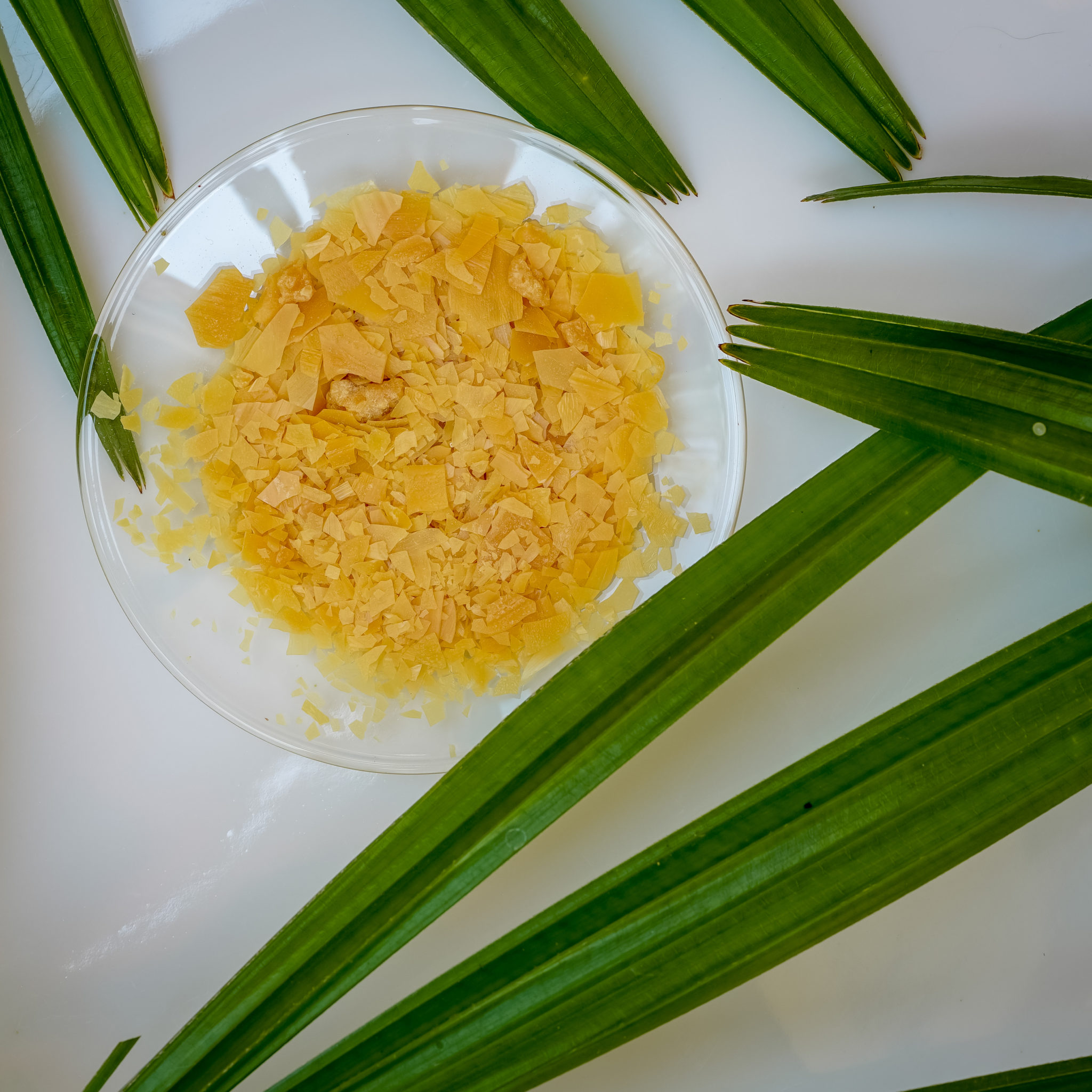 5 Vegan Beeswax Alternatives for Natural Skincare (+ Free Sweet Orange Lip Balm Recipe!) Natural Skincare Ingredients