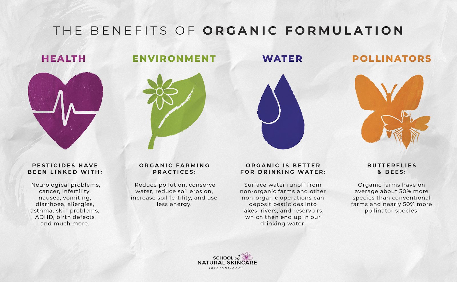 Formulating organic skincare: How Chantal puts her passion into action Student success stories
