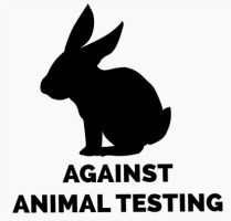 How to read a cosmetic label Getting started