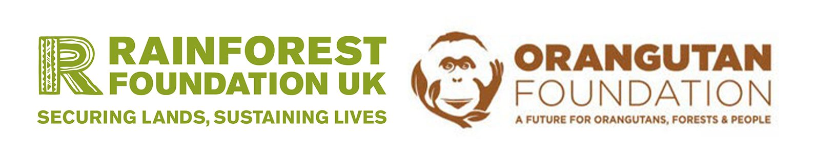 Natural Palm Oil-free Emulsifier for Natural Cosmetics: Imwitor 375 Natural Skincare Ingredients