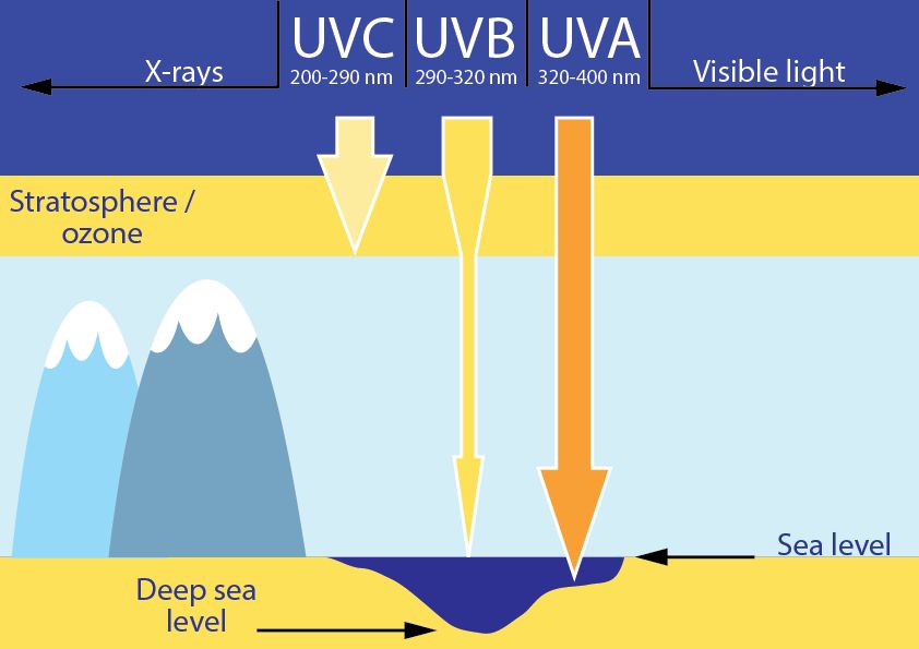 DIY sunscreen: why you should NOT make your own sunscreen Skincare Formulation
