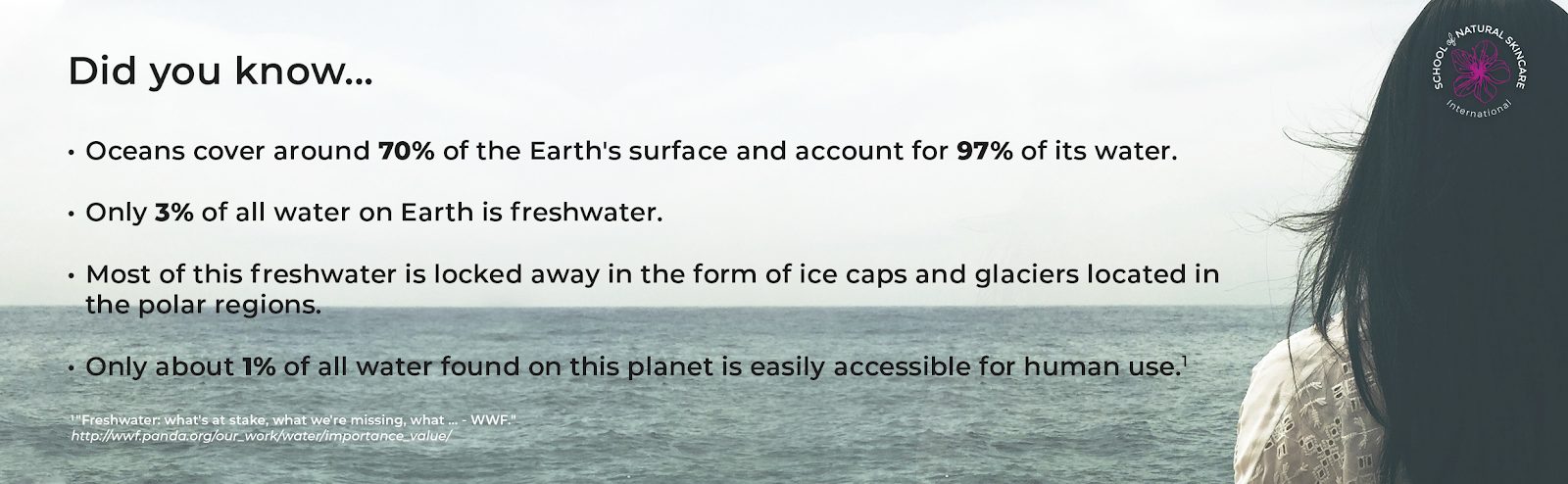 Waterless skincare products: what they are and why to make them Skincare Formulation