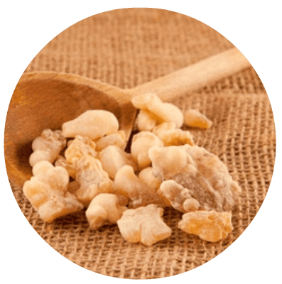 The best 3 essential oils for studying Essential oils