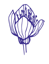 Checklist: how to make sure the skincare products you make are safe and stable Getting started Natural Skincare Ingredients