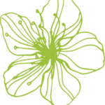 Checklist: how to make sure the skincare products you make are safe and stable Getting started Natural Skincare Ingredients