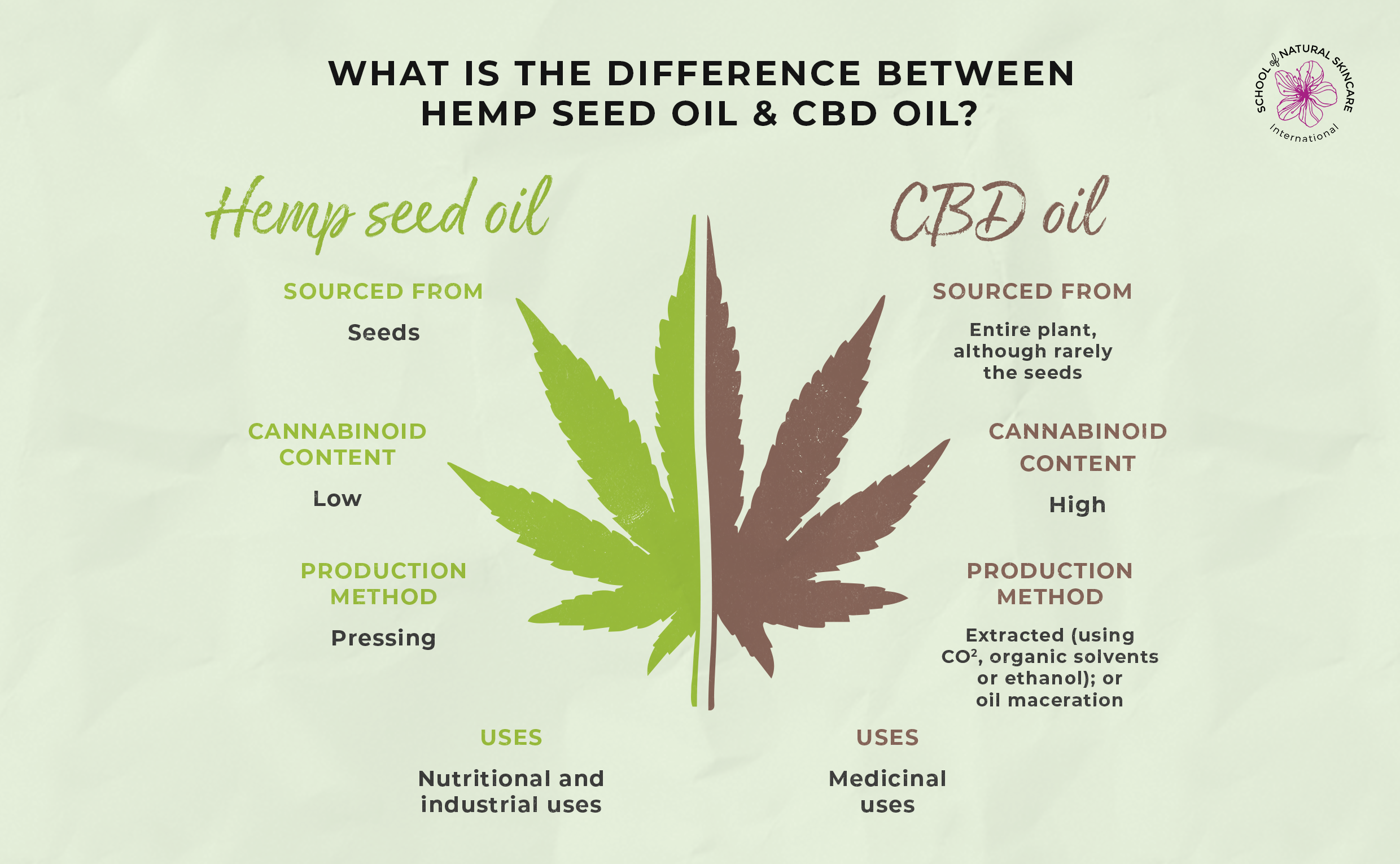 CBD in Skincare: Is it Safe? Is it legal? What you Need to Know Skincare Formulation