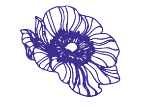 What is Natural Skin Care? Getting started 