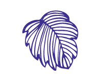 Checklist: how to make sure the skincare products you make are safe and stable Getting started Natural Skincare Ingredients