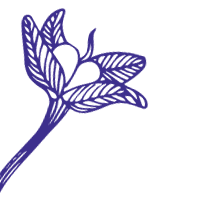 8 Questions our Best Students ask (before saying Yes! to our Diploma in Natural Skincare Formulation) Skincare Formulation